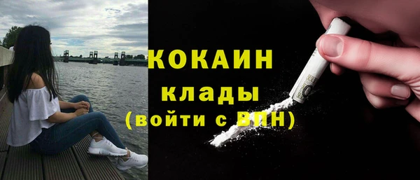 mdpv Тайга