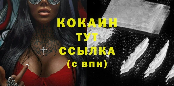 соль ск Тавда