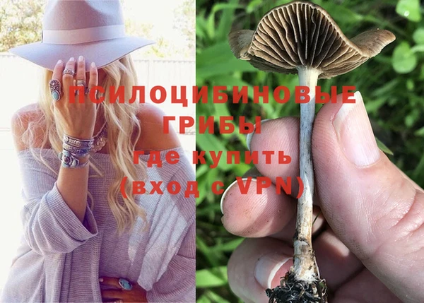 марихуана Беломорск