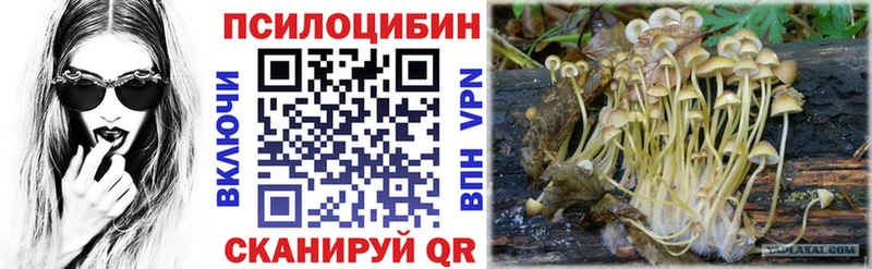 hydra ТОР Городец Галлюциногенные грибы ЛСД