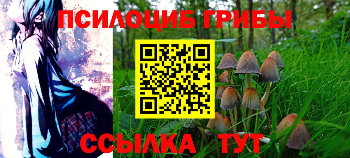 Псилоцибиновые грибы GOLDEN TEACHER  Вход с VPN  Псилоцибиновые грибы прущие грибы  Городец 